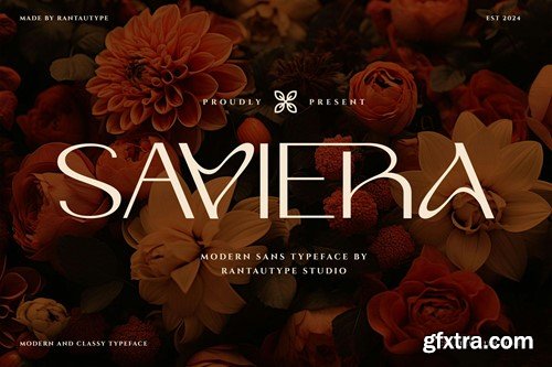 Saviera Modern Sans Typeface DR9JF82