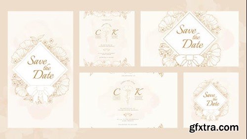 Videohive Union Wedding Invitation Intro 51653381