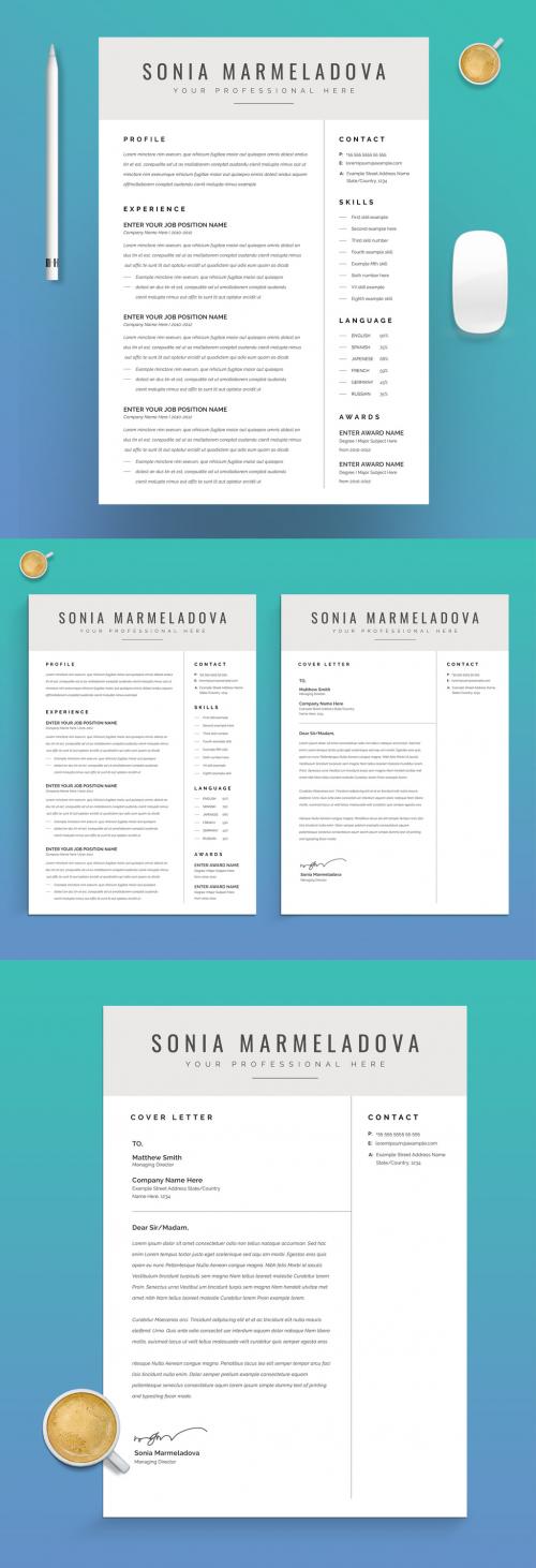 Professional Resume Layout