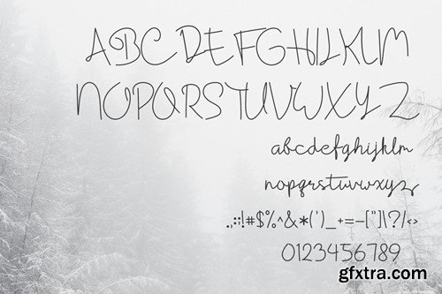 Cantika Script Signature Font XNSTAXX