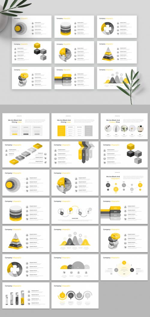 Business Infographic Presentation