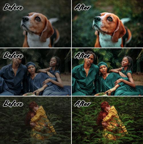 Before and After Photo Effect