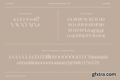 Carien A Modern Serif Font 49M5ZSR