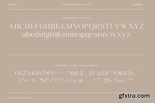 Carien A Modern Serif Font 49M5ZSR