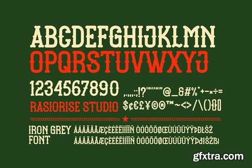 Iron Grey - Vintage Western Font U3X96QF