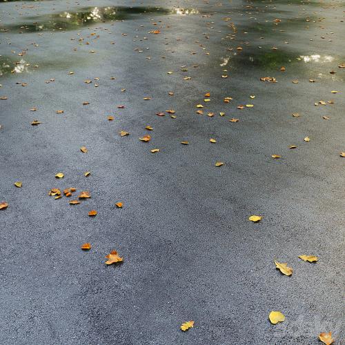 Wet asphalt with leaves. Autumn. Editable