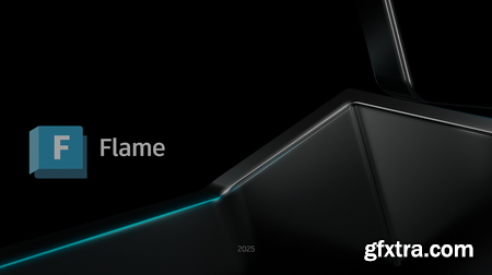 Autodesk Flame 2025.1