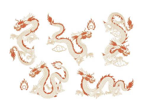 Chinese Dragon Illustration