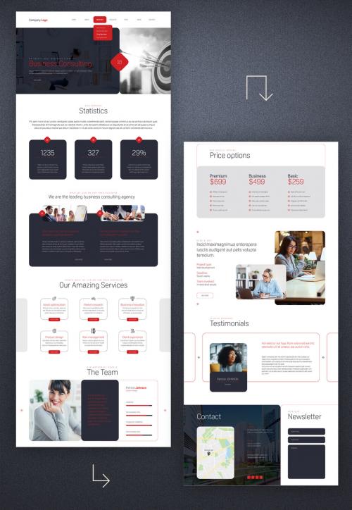 Business Presentation Website with Dark Blue and Red Accents