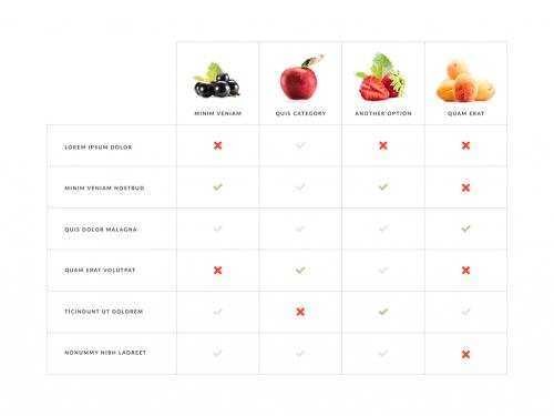 Infographic Table Layout with Photo Placeholder Categories