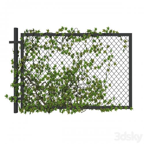 Fence with ivy v1