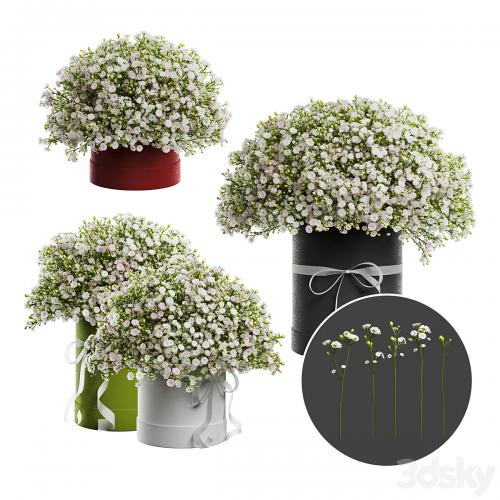 Gypsophila bouquet in a hat box