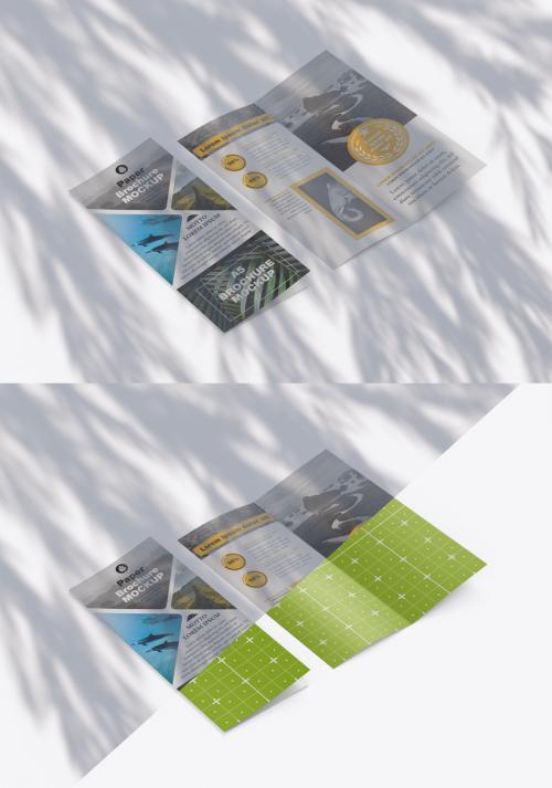 Matte Brochure Mockup