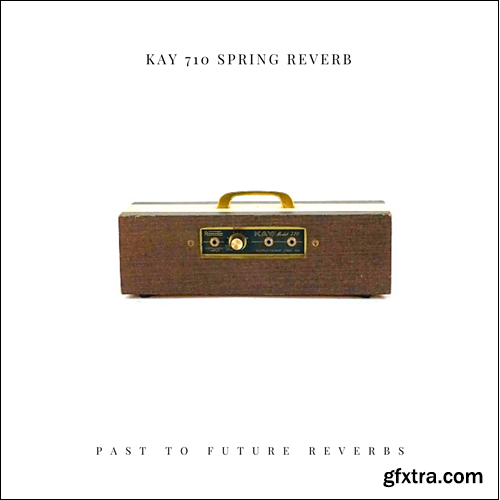 PastToFutureReverbs KAY 710 Spring Reverb