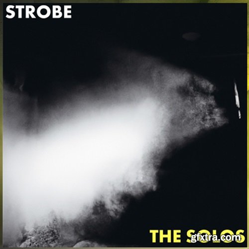 Steinberg Strobe Retrologue Expansion