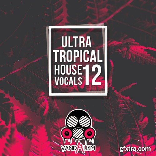 Vandalism Ultra Tropical House Vocals 12