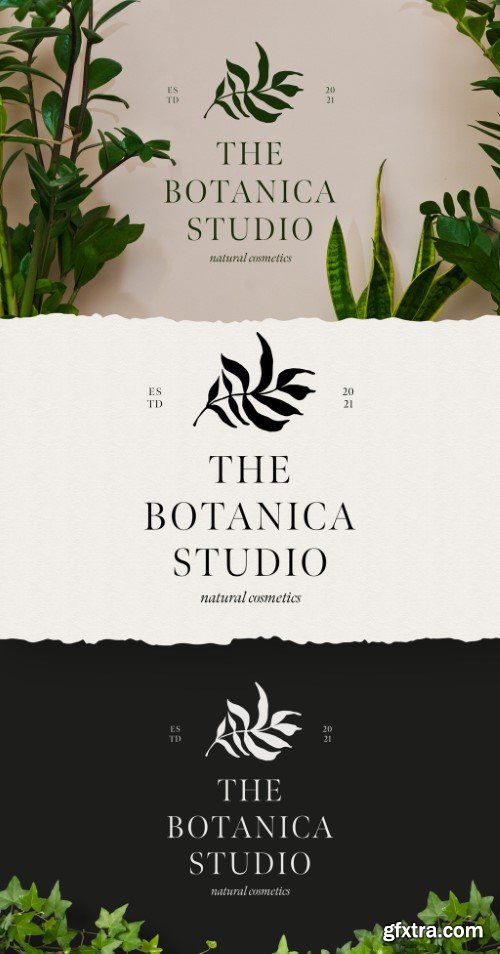 Modern Boho Logo Design with Leaf Motif
