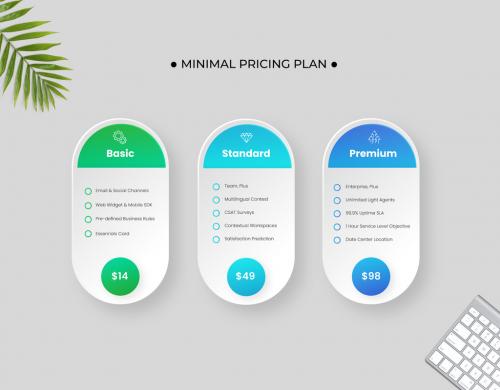 Minimalist Subscription Plan Table