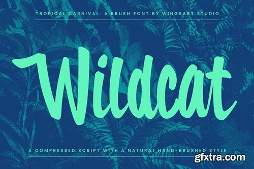 Tropical Carnival: A Sunny Brush Script Font 29CEY87