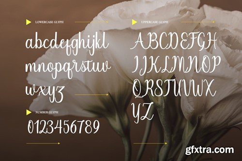 Monthea - Fancy SIgnature Font CZU5DAY