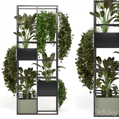 indoor plants in rusty concrete pot on metal shelf - Set 122