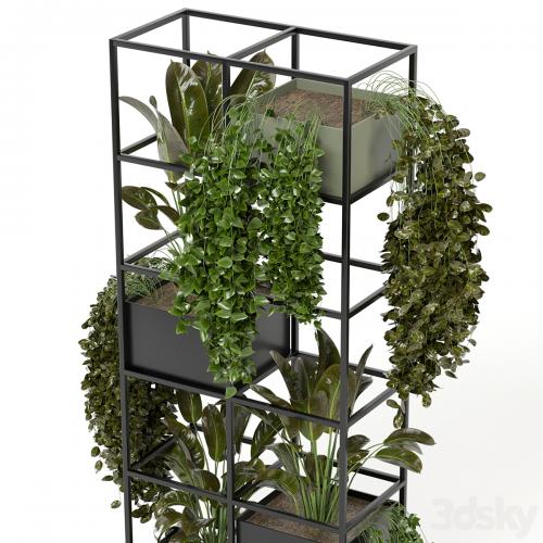 indoor plants in rusty concrete pot on metal shelf - Set 122