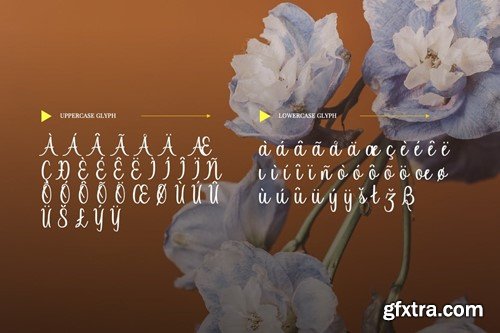 Monthea - Fancy SIgnature Font CZU5DAY