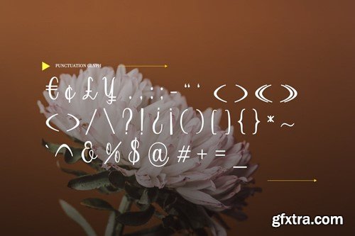 Monthea - Fancy SIgnature Font CZU5DAY