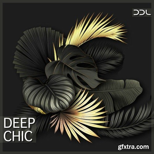 Deep Data Loops Deep Chic