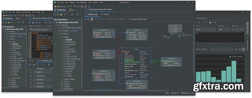 DbVisualizer Pro 24.1.5
