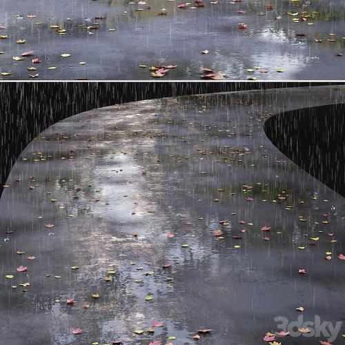 Autumn road with leaves and puddles