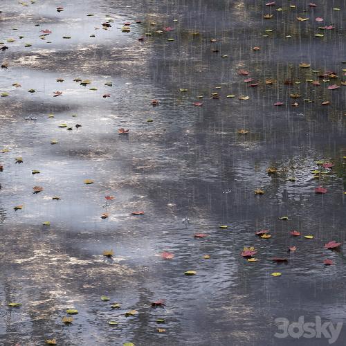 Autumn road with leaves and puddles