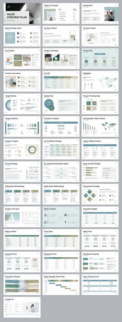 Sales Strategy Plan Presentation