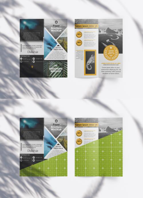 Matte Brochure Mockup