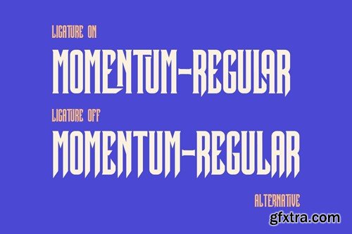 Momentum Condensed Display Font V5UY496