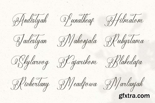 Eladorna Gladiota Calligraphy Script KTSBZ37