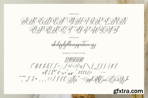 Eladorna Gladiota Calligraphy Script KTSBZ37