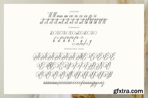 Eladorna Gladiota Calligraphy Script KTSBZ37