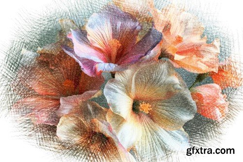 Colorful Pencil Sketch Photo Effect 73TZUHY