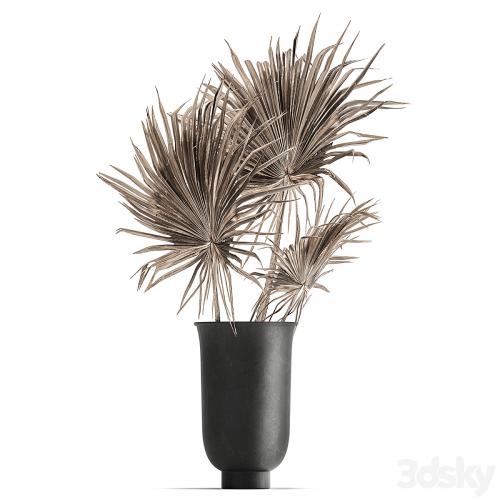 A set of flower bouquets in vases of dried flowers, palm branch, pampas grass, reed grass, hydrangea, thorns. 283