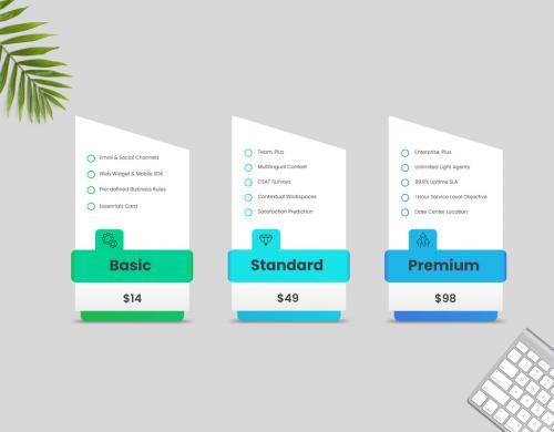 Minimalist Subscription Plan Table