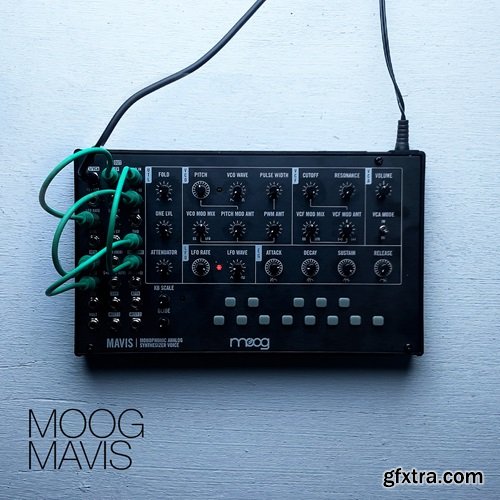 David Hilowitz Moog Mavis + Experiments [Patreon Exclusive] [Decent Sampler]