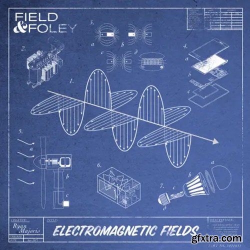 Field and Foley Electromagnetic Fields