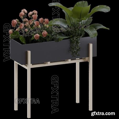 Botanic Stand & Pedestal