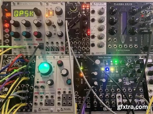 Resonant Language RL Modular FX 01