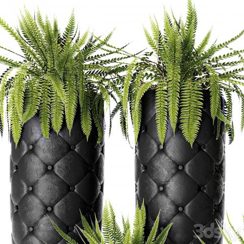 FERN + POTS Fleur Ami, luxury, flower, pot, flowerpot, fern