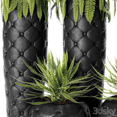 FERN + POTS Fleur Ami, luxury, flower, pot, flowerpot, fern