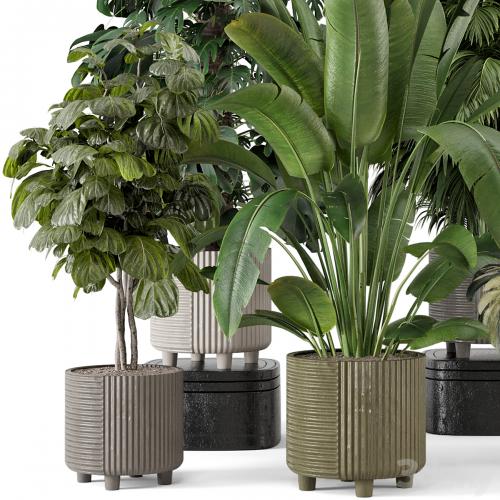 Indoor Planters in Cecilia Ficonstone Pot - Set 969