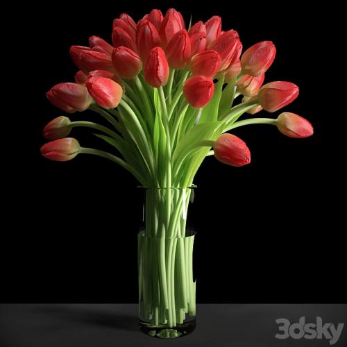 Red Tulips / Red tulips