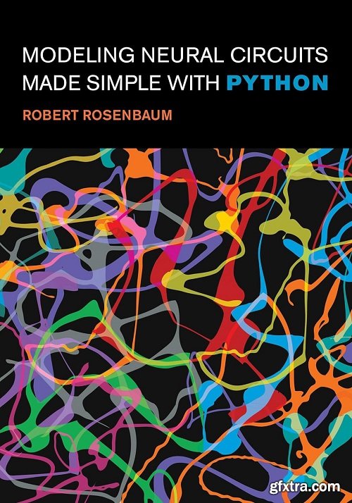 Modeling Neural Circuits Made Simple with Python